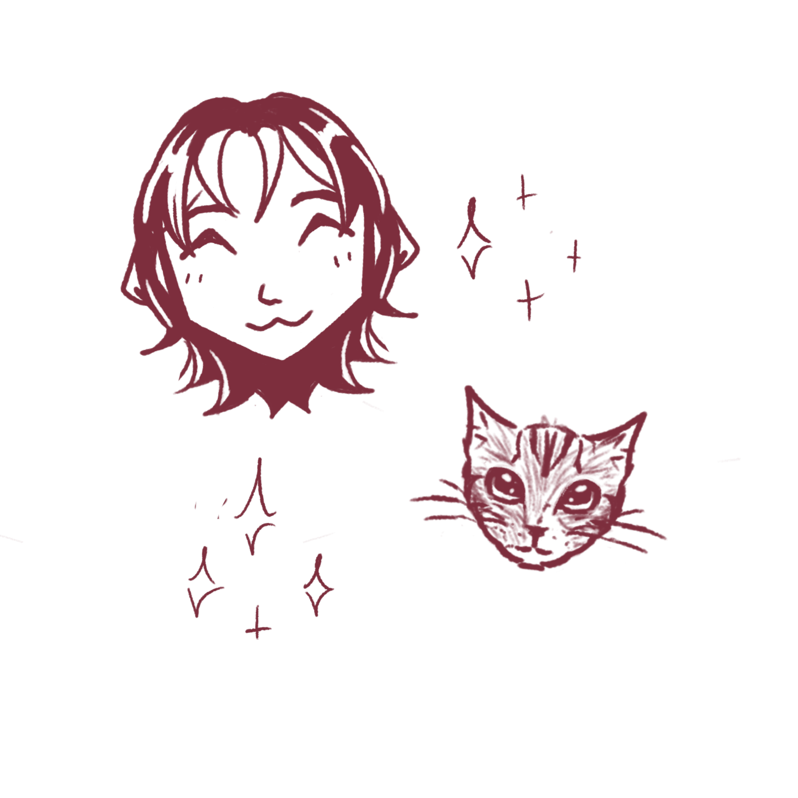 a display of doodles.